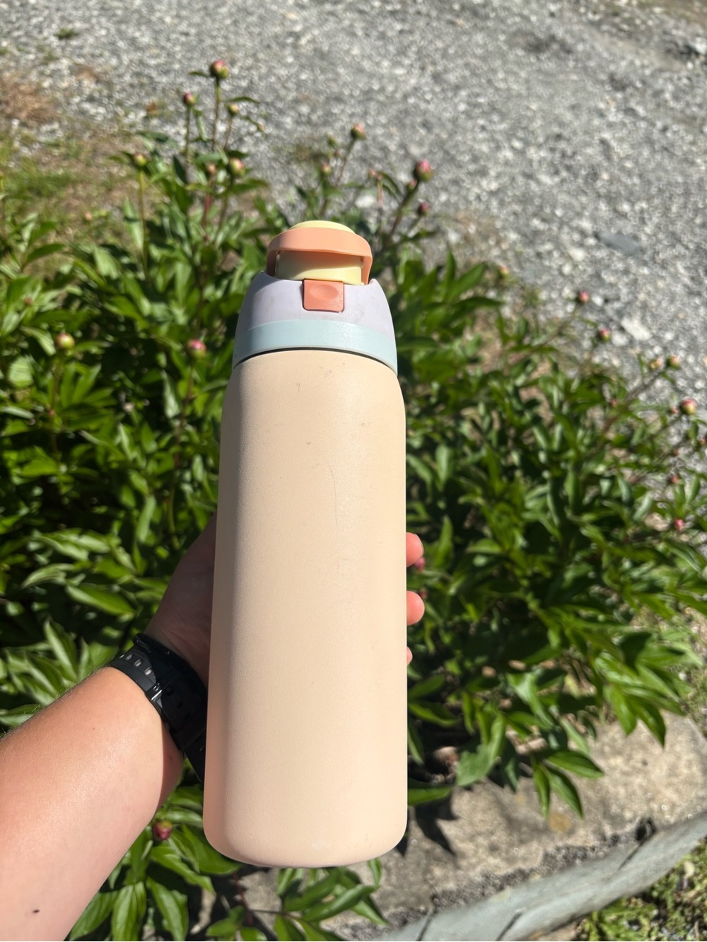 Owala Peach Stainless Water Bottle with Pastel Lid - Picture 7 of 7